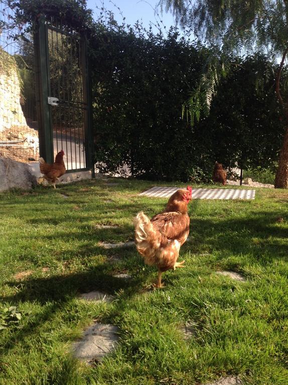 Agriturismo Da Lui Bordighera Exterior foto