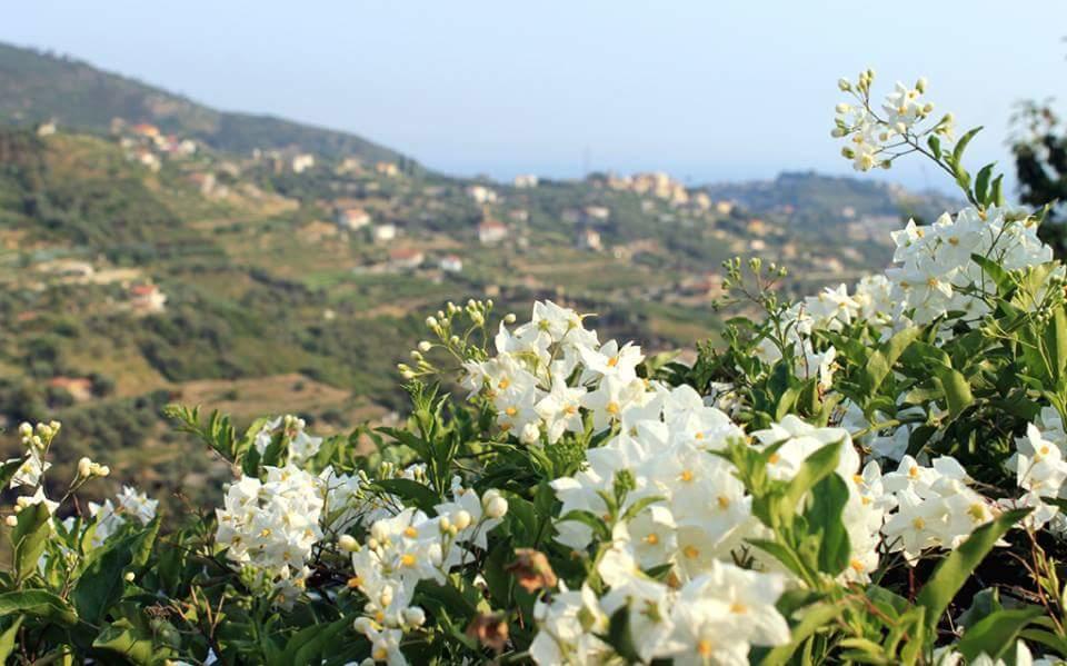 Agriturismo Da Lui Bordighera Exterior foto